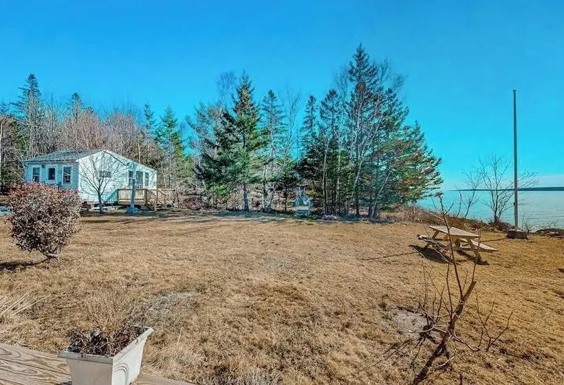Charming Love Shack With Stunning Seaside Views And All The Comforts Of Home