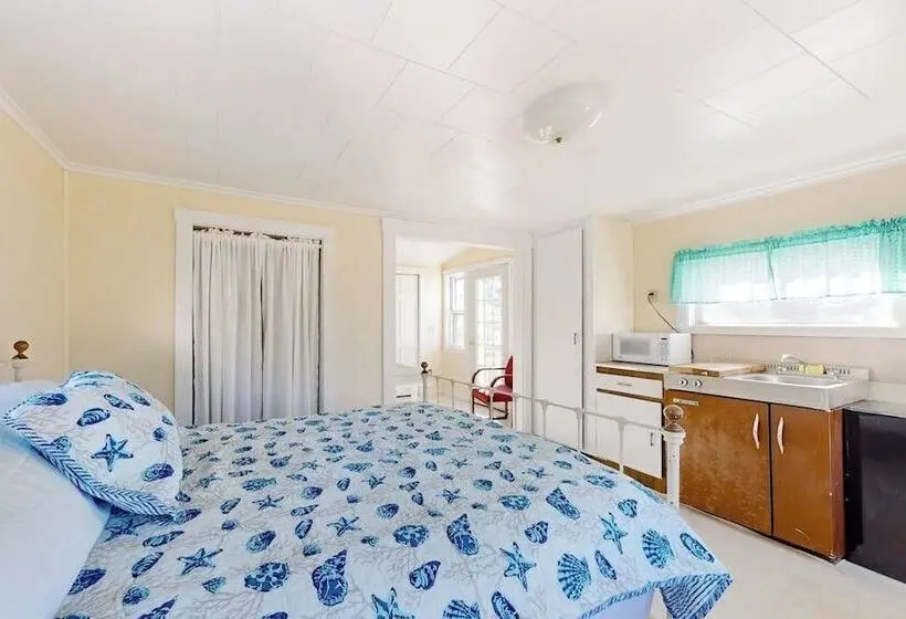Charming Love Shack With Stunning Seaside Views And All The Comforts Of Home