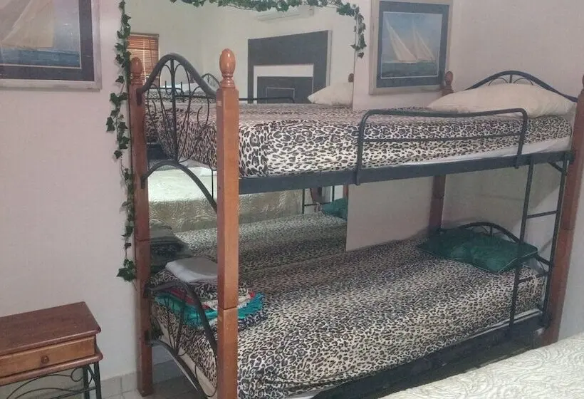 Weaving Mill Aruba Hostel Bed And Coffee