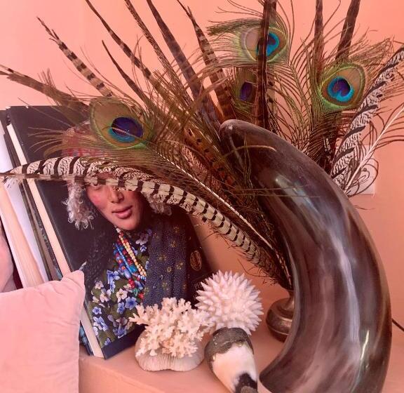 تختخواب و صبحانه The Bohemian Jungle