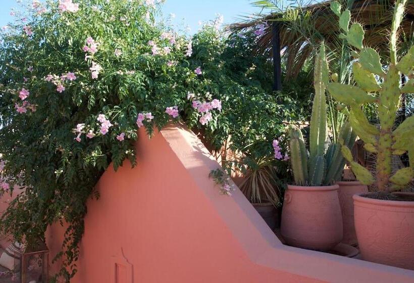 تختخواب و صبحانه The Bohemian Jungle