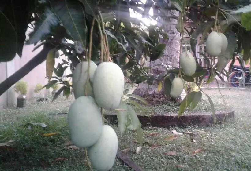 هاستل Sanithu Homestay Galle