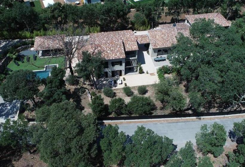 ペンション Villa Saona