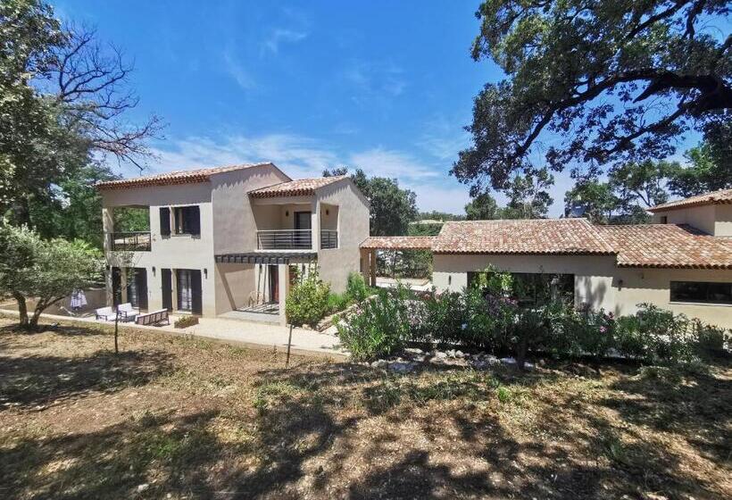 ペンション Villa Saona