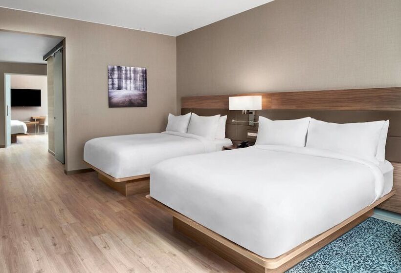 Ac Hotel By Marriott Pittsburgh Downtown