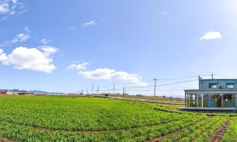 Majatalo Cocoreto The Guesthouse Daikon Island