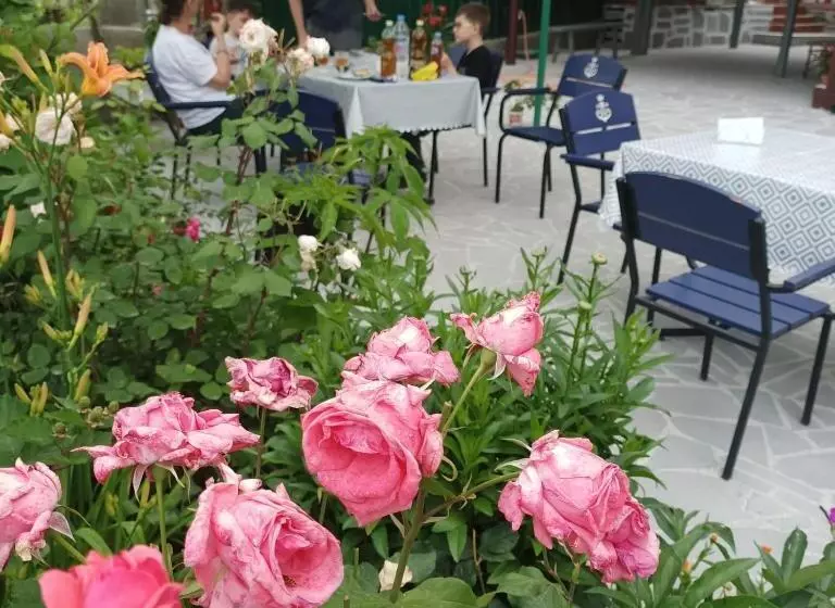 پانسیون Guesthouse Kiko