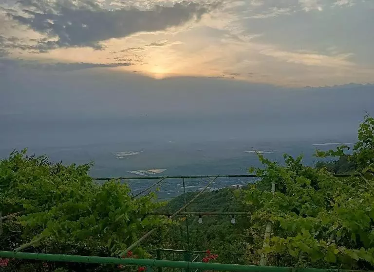 پانسیون Guesthouse Kiko