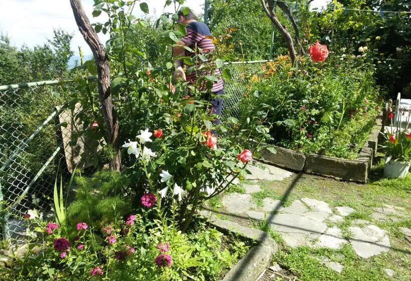 پانسیون Guesthouse Kiko