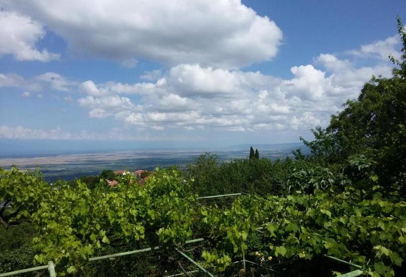 پانسیون Guesthouse Kiko