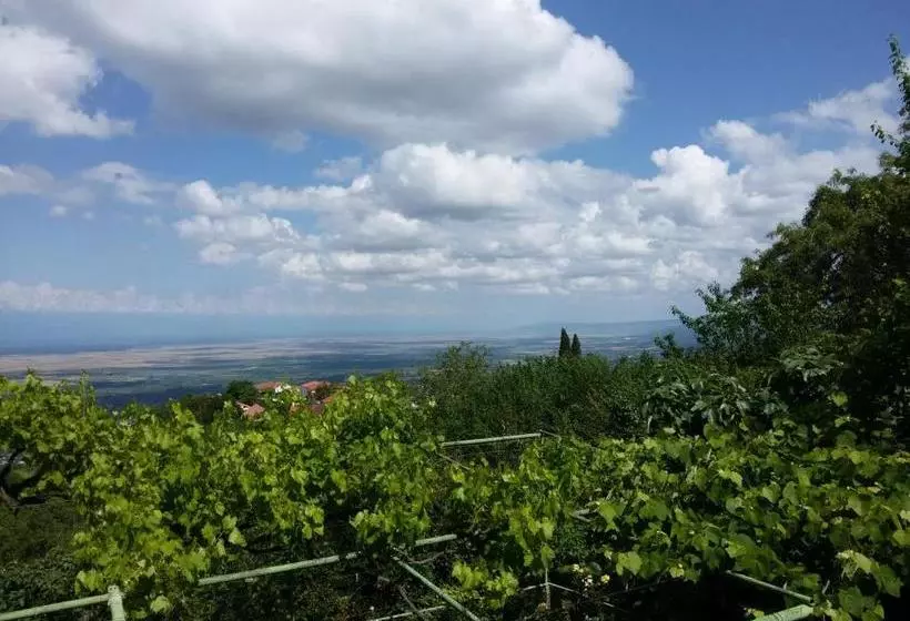 پانسیون Guesthouse Kiko