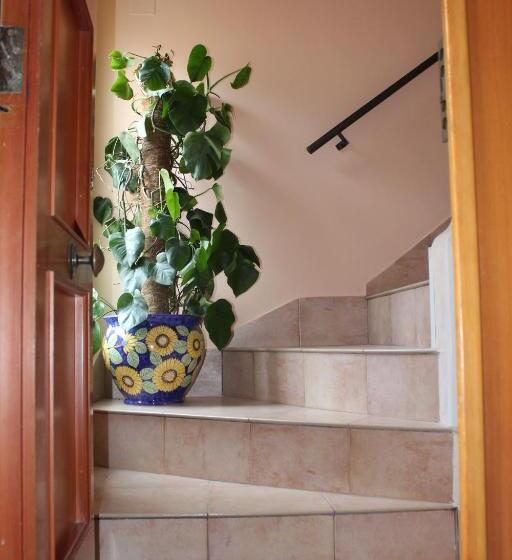 تختخواب و صبحانه Reginella