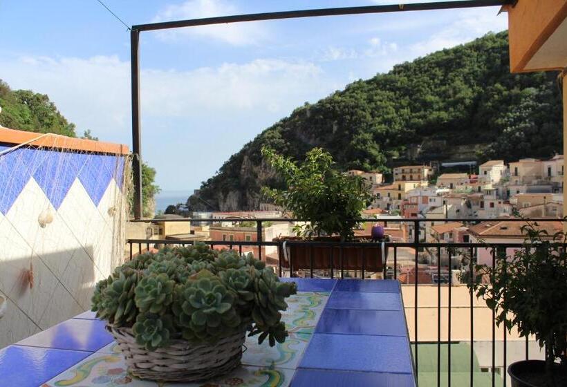 تختخواب و صبحانه Reginella