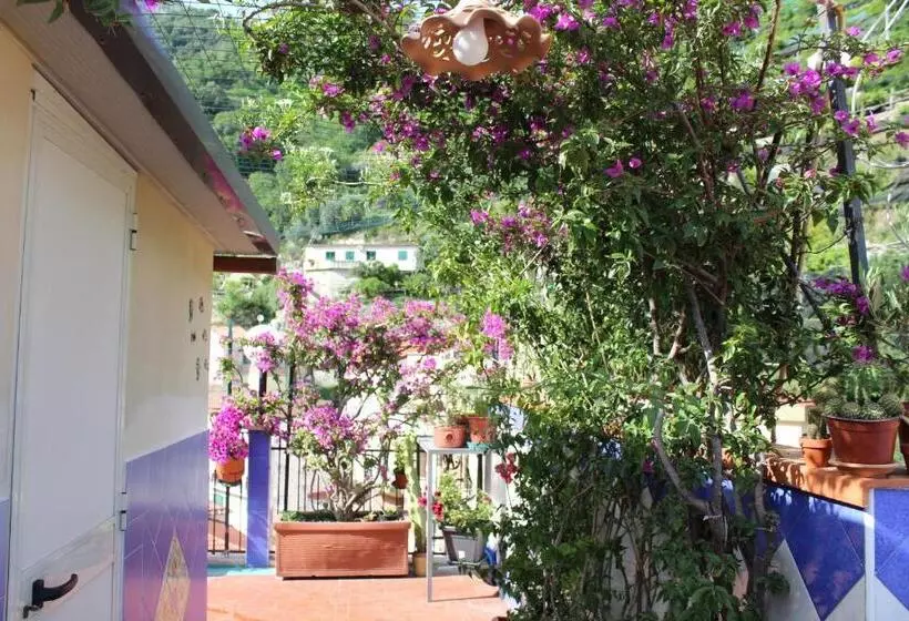 Aamiaismajoitus (B&B) Reginella