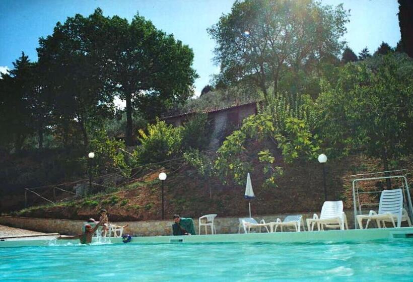 בית מלון כפרי Setterhouseagri