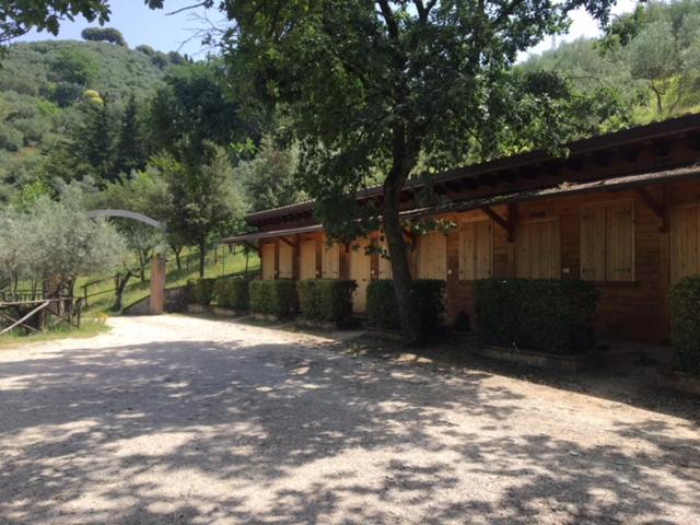 בית מלון כפרי Setterhouseagri