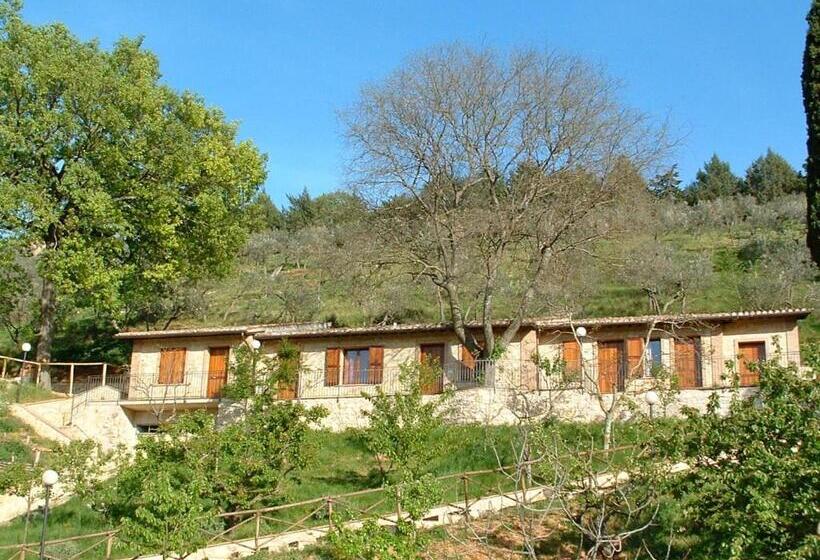 בית מלון כפרי Setterhouseagri