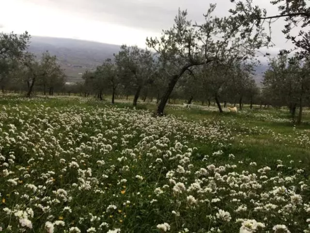 Hotelli Setterhouseagri