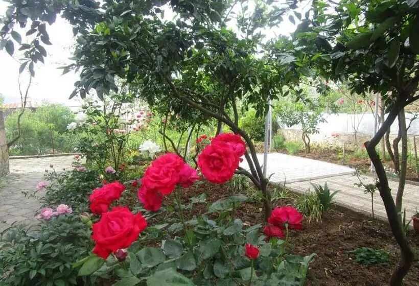 پانسیون Guest House T&n