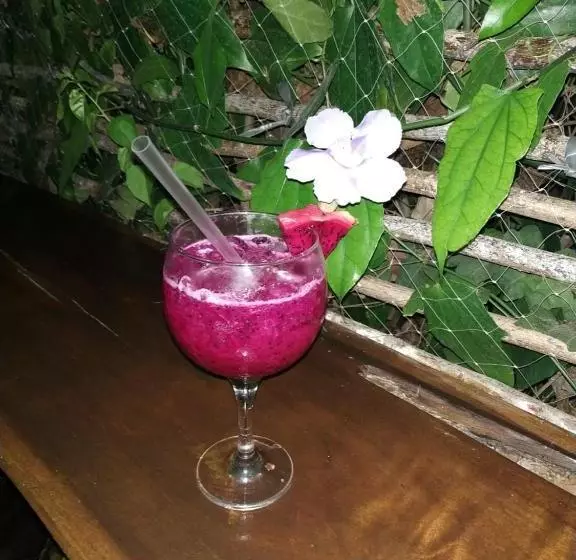 ペンション Pousada Paradise Flecheiras