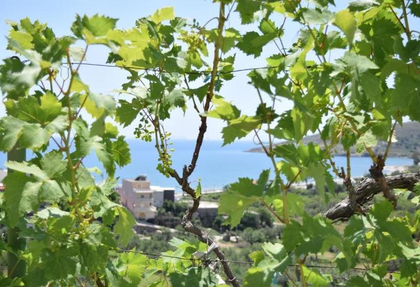 Pensionat Belvedere Adriatica