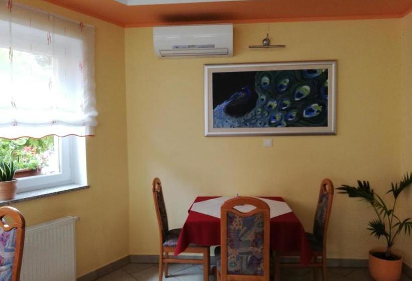 پانسیون Gostilna S Prenočišči Pav