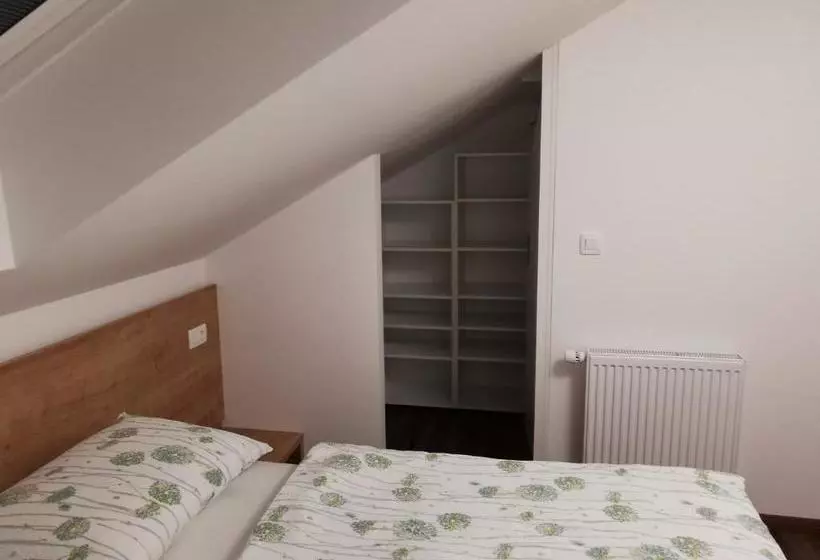 پانسیون Gostilna S Prenočišči Pav