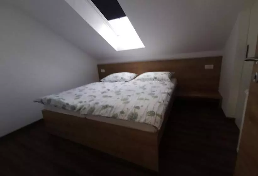 پانسیون Gostilna S Prenočišči Pav