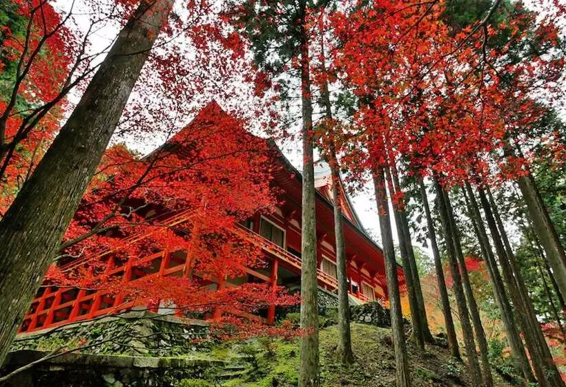 Majatalo Koke Musu Inn