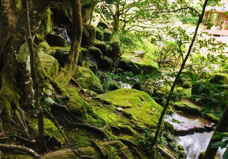 פנסיון Koke Musu Inn