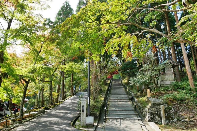 פנסיון Koke Musu Inn