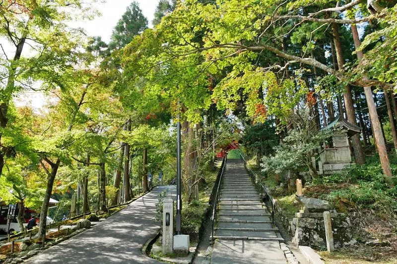 Majatalo Koke Musu Inn