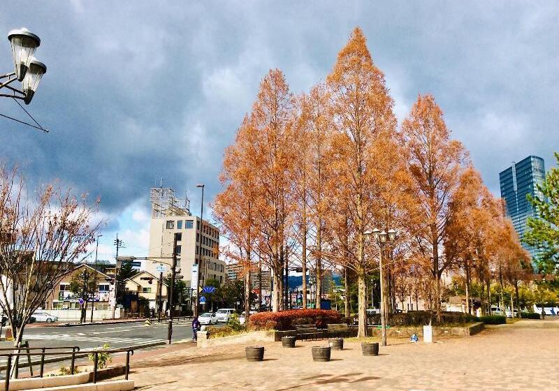 פנסיון Koke Musu Inn