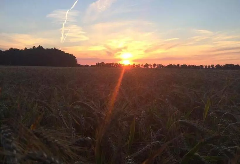 Pension Zum Alten Gasthaus Hänsel