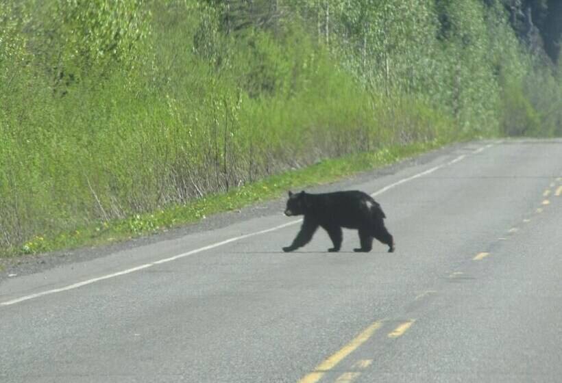 Pension Bear Valley Guesthouse
