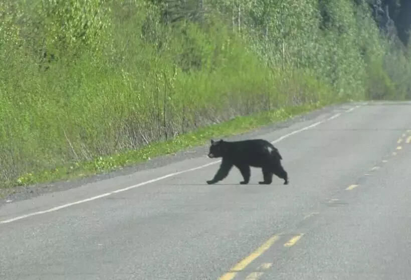 Majatalo Bear Valley Guesthouse