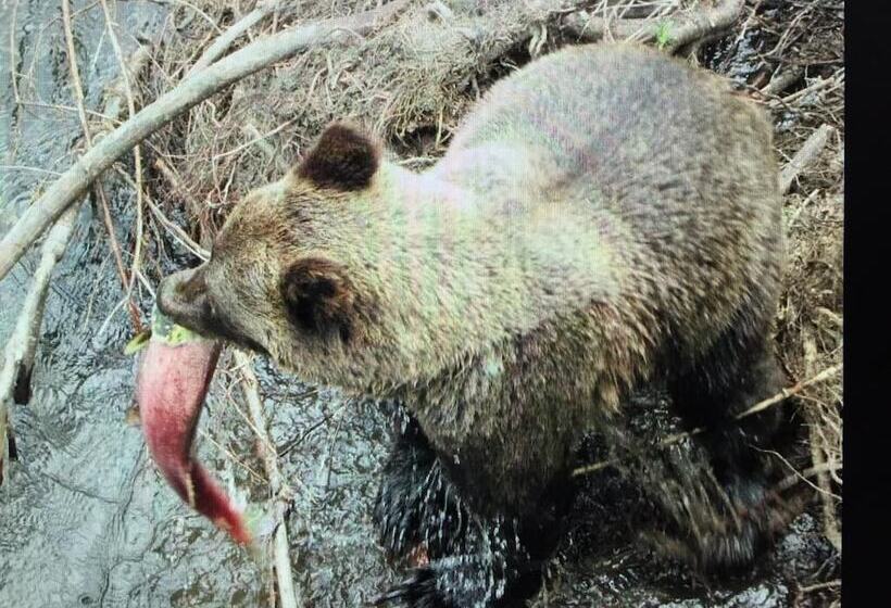 Pension Bear Valley Guesthouse