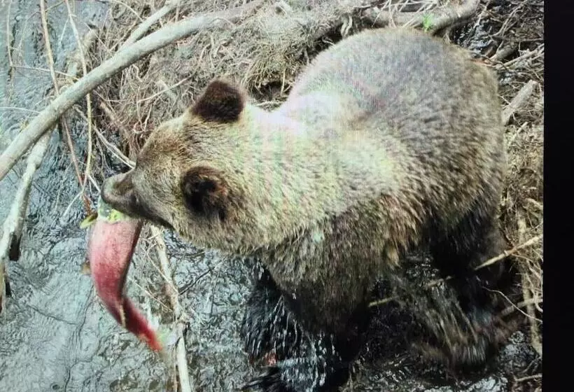 Majatalo Bear Valley Guesthouse