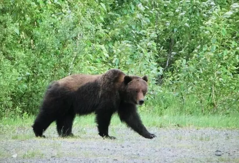 Majatalo Bear Valley Guesthouse