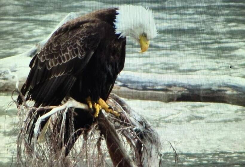 Pension Bear Valley Guesthouse