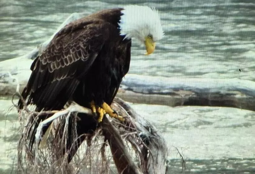 Majatalo Bear Valley Guesthouse