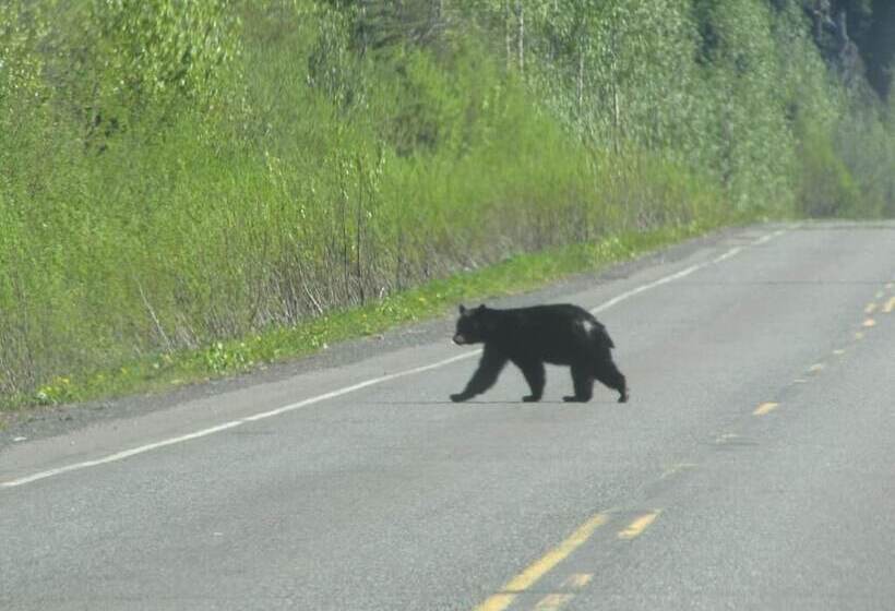 Pension Bear Valley Guesthouse