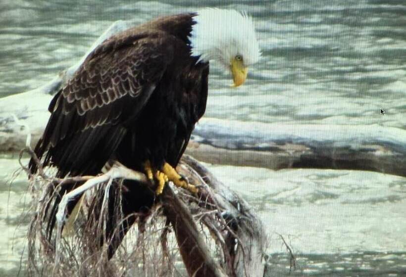 Pension Bear Valley Guesthouse