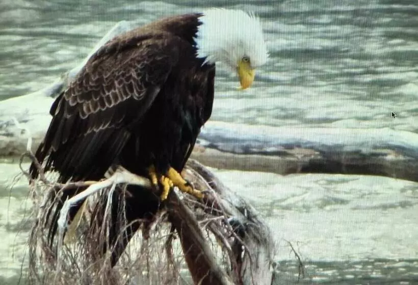 Majatalo Bear Valley Guesthouse