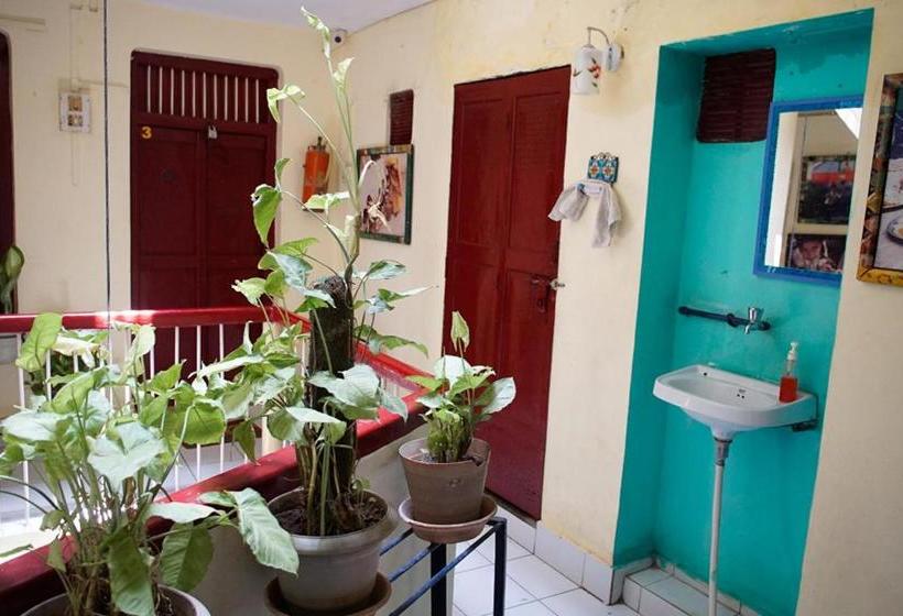 膳宿费 Brown Bread Bakery Guest House