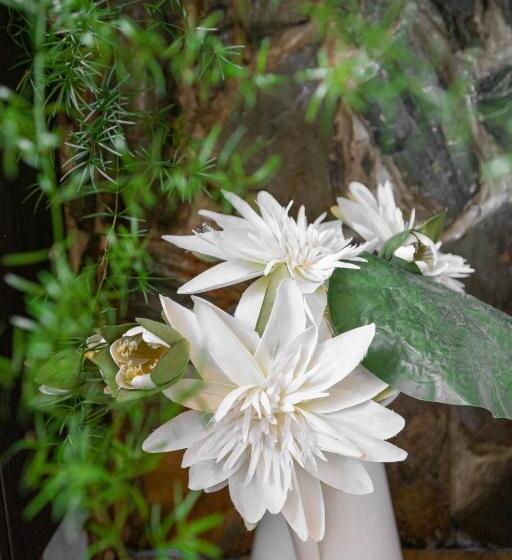 פנסיון Drumfearne Guesthouse & Tearoom