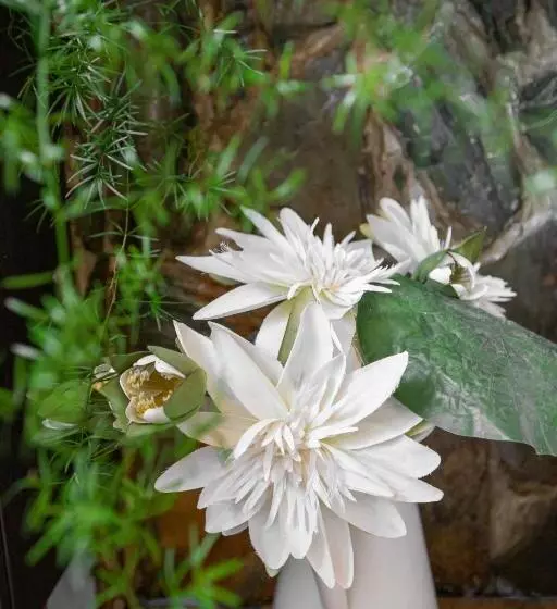 Majatalo Drumfearne Guesthouse & Tearoom