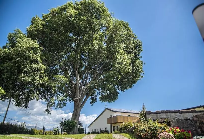 ベッドアンドブレックファースト Agro Sicily