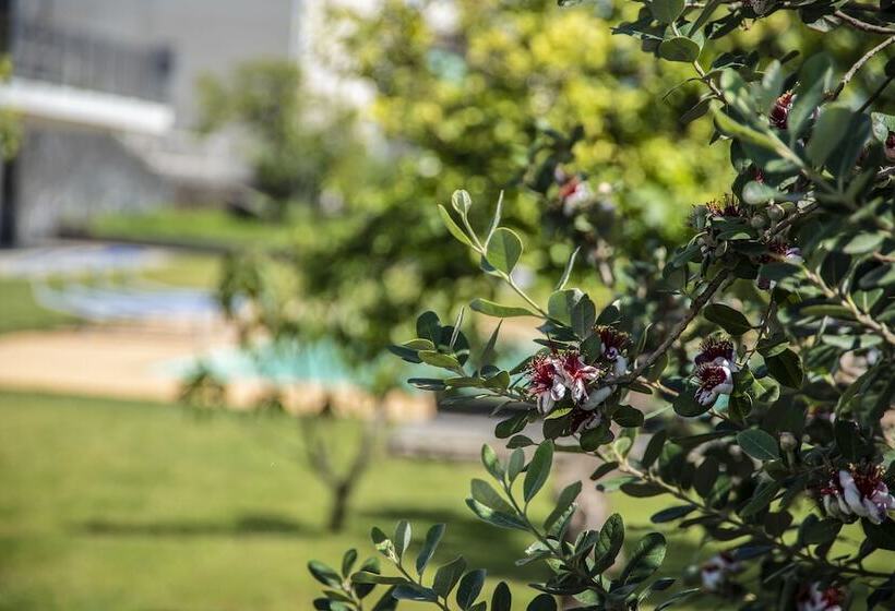 تختخواب و صبحانه Agro Sicily