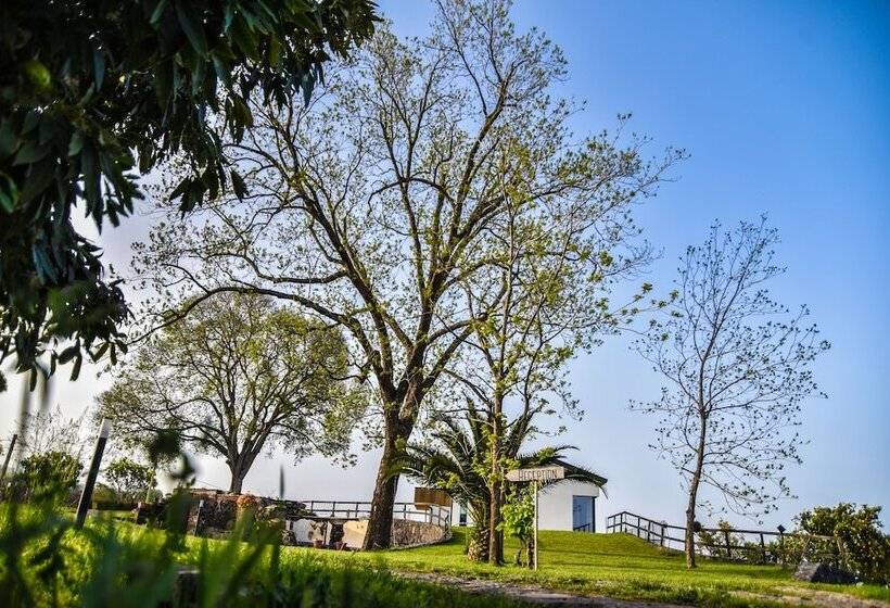 تختخواب و صبحانه Agro Sicily